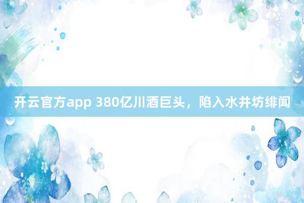 开云官方app 380亿川酒巨头，陷入水井坊绯闻