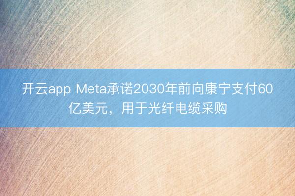 开云app Meta承诺2030年前向康宁支付60亿美元,用于光纤电缆采购