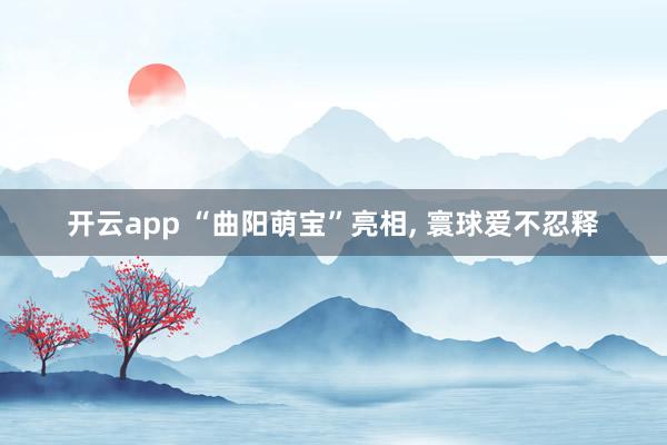 开云app “曲阳萌宝”亮相， 寰球爱不忍释