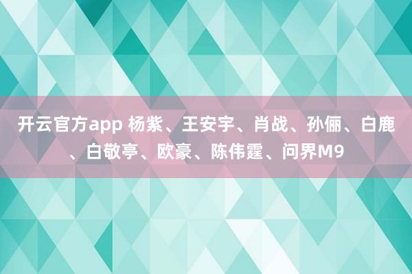 开云官方app 杨紫、王安宇、肖战、孙俪、白鹿、白敬亭、欧豪、陈伟霆、问界M9