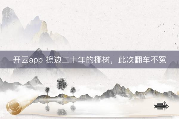 开云app 擦边二十年的椰树，此次翻车不冤