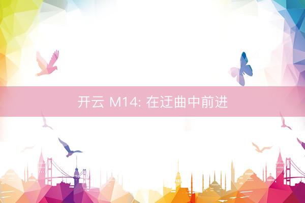 开云 M14: 在迂曲中前进
