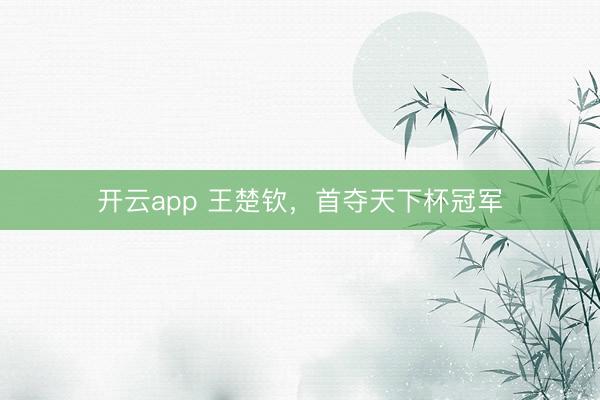 开云app 王楚钦，<a href=