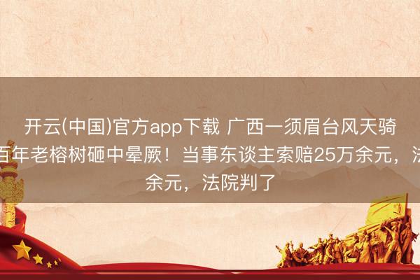 开云(中国)官方app下载 广西一须眉台风天骑行,被百年老榕树砸中晕厥!当事东谈主索赔25万余元,法院判了