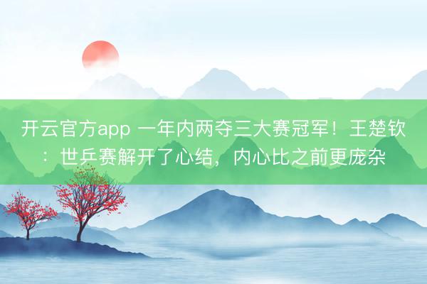 开云官方app 一年内两夺三大赛冠军！王楚钦：世乒赛解开了心结，内心比之前更庞杂