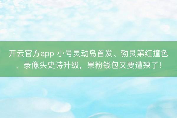 开云官方app 小号灵动岛首发、勃艮第红撞色、录像头史诗升级，<a href=