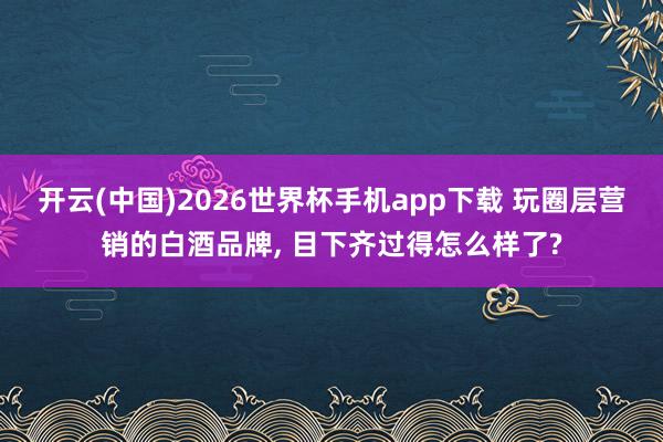 开云(中国)2026世界杯手机app下载 玩圈层营销的白酒品牌, 目下齐过得怎么样了?