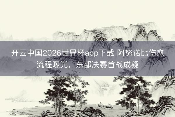 开云中国2026世界杯app下载 阿努诺比伤愈流程曝光,东部决赛首战成疑