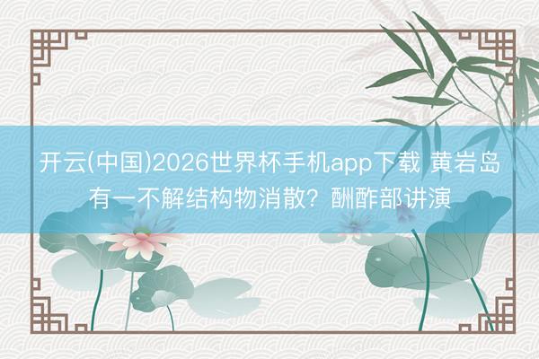 开云(中国)2026世界杯手机app下载 黄岩岛有一不解结构物消散?酬酢部讲演