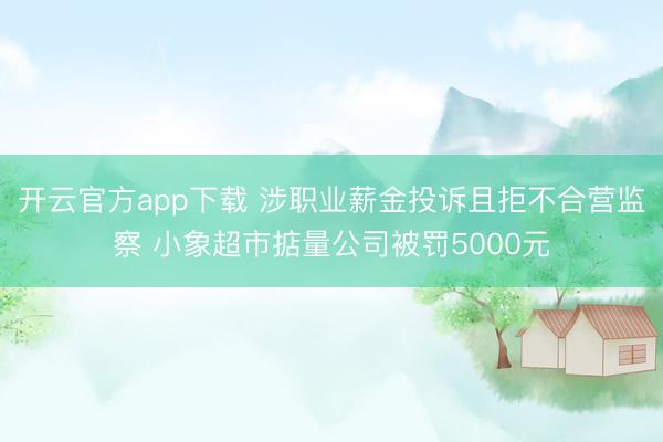 开云官方app下载 涉职业薪金投诉且拒不合营监察 小象超市掂量公司被罚5000元
